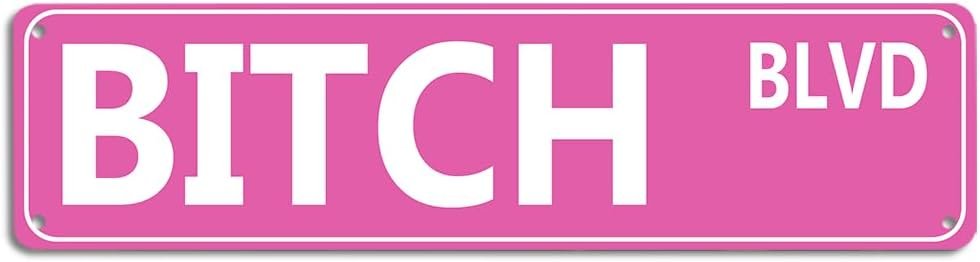 Retro Pink Tin Metal Sign – ‘BITCH BLVD’ – Bold Statement Decor for Home, Bar, or Dorm – 16×4 Inches – Unique Gift Idea for Friends(B71)